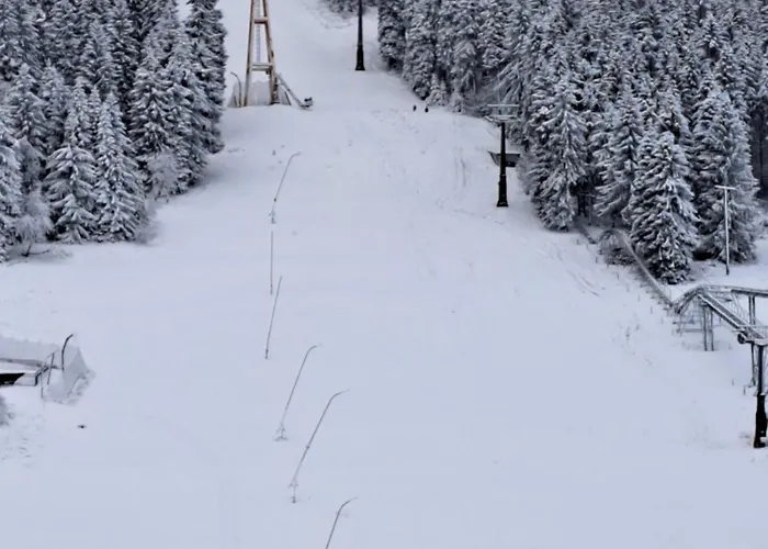 Appartement Bergidylle *