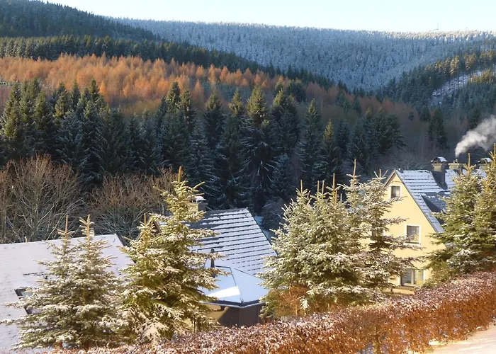 Appartement Bergidylle *